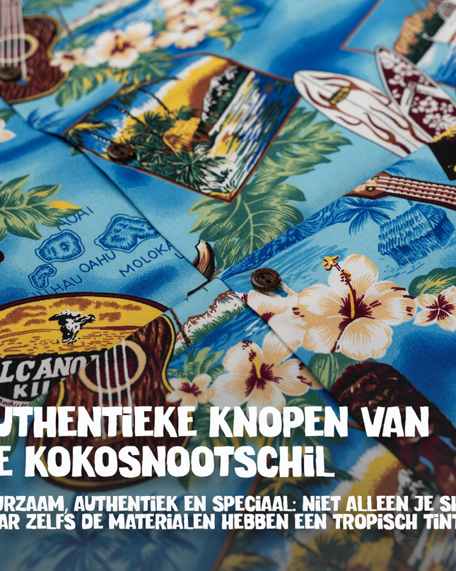 Party in Hawaii Hawaiian Shirt for Men