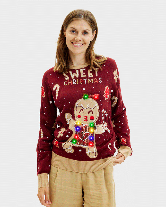 Cute Cookie Christmas Sweater for Women
