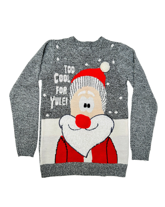 Vintage Too Cool Santa Christmas Sweater for Accessories