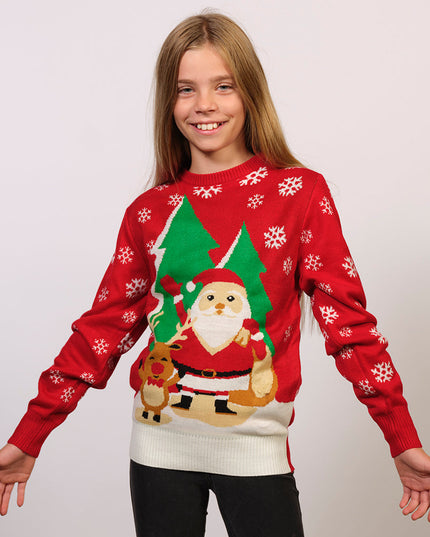 Popular Christmas Sweater for Kids