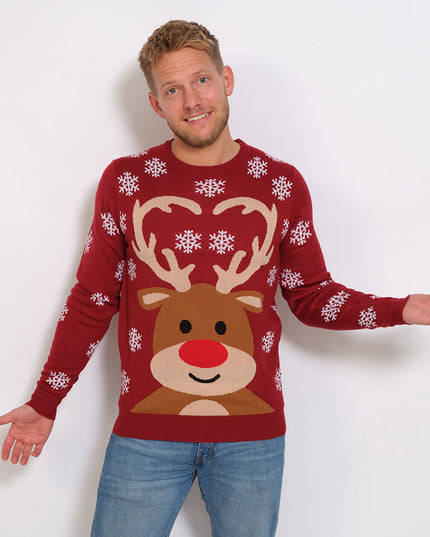 Cute Reindeer Christmas Sweater for Women