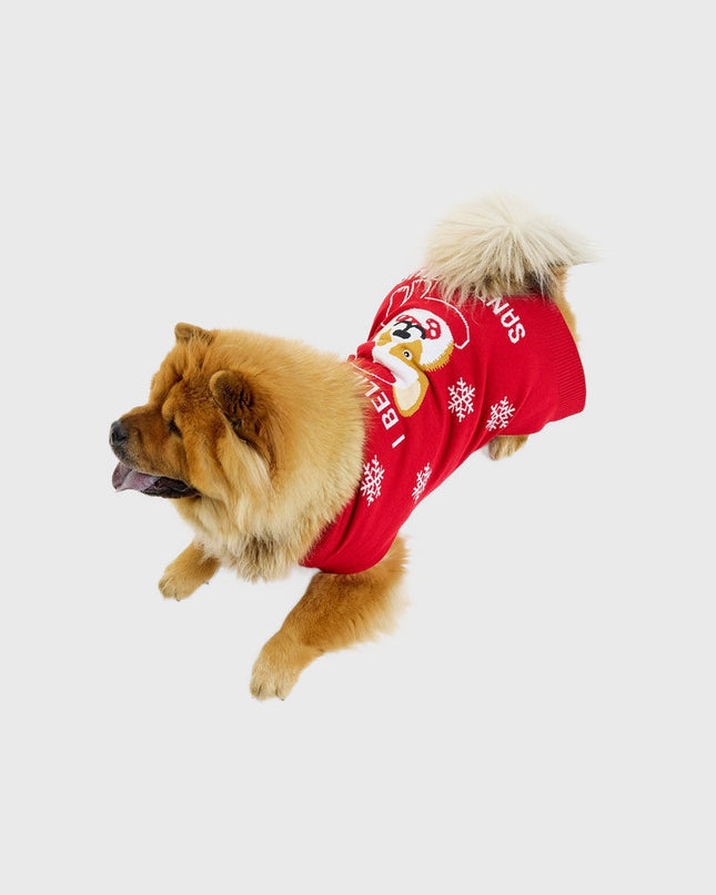 Santa Paws Christmas Sweater for Pets