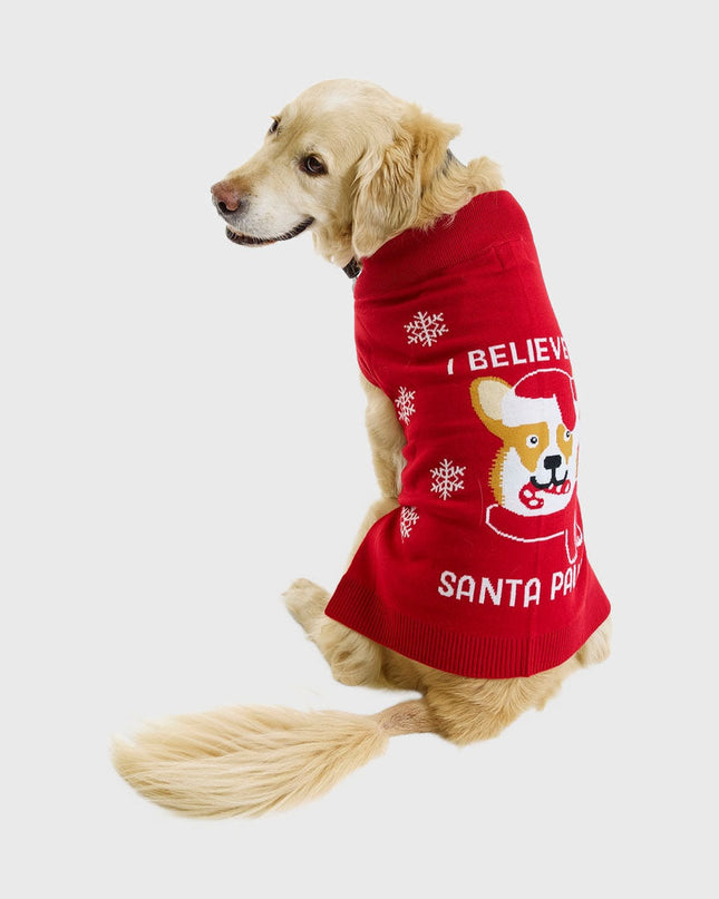 Santa Paws Christmas Sweater for Pets