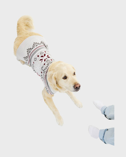 Fancy Dog Christmas Sweater