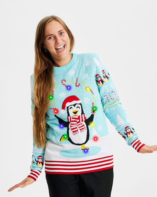 LED Christmas Sweater for Women