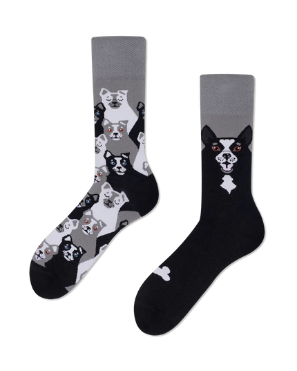 Many Mornings Socks - Black Dog Design | Tags: Christmas Socks