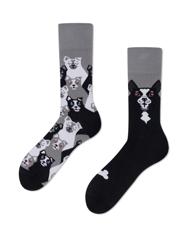 Many Mornings Socks - Black Dog Design | Tags: Christmas Socks