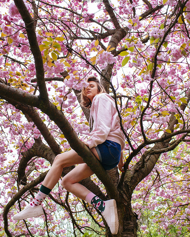 Cherry Blossom Fun Socks for All Ages