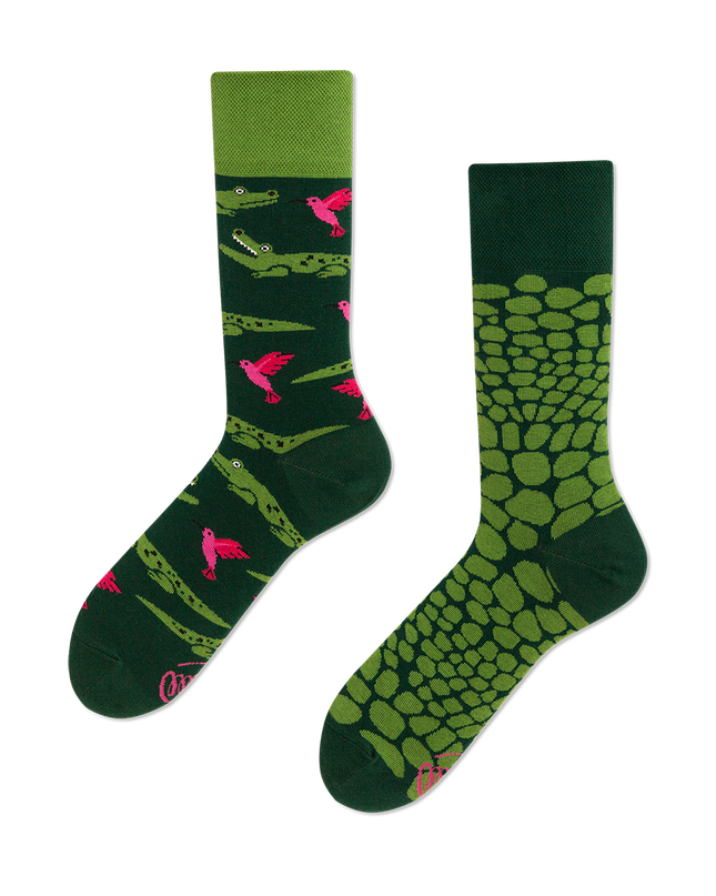 Forfitter Fun Socks Collection by Many Mornings