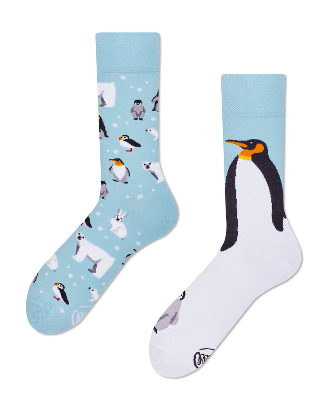 Frosty Friends Christmas Fun Socks Collection