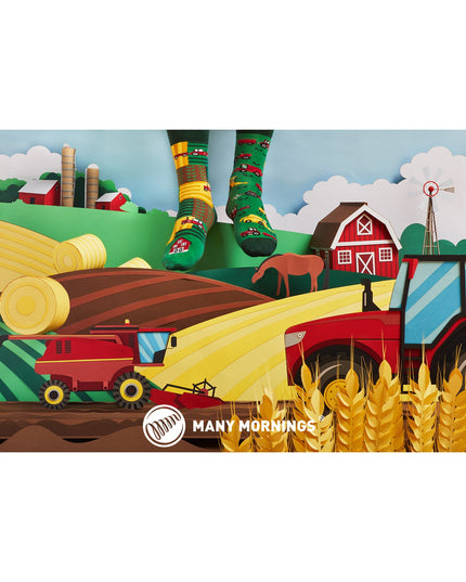 Happy Harvest Fun Socks for Everyone