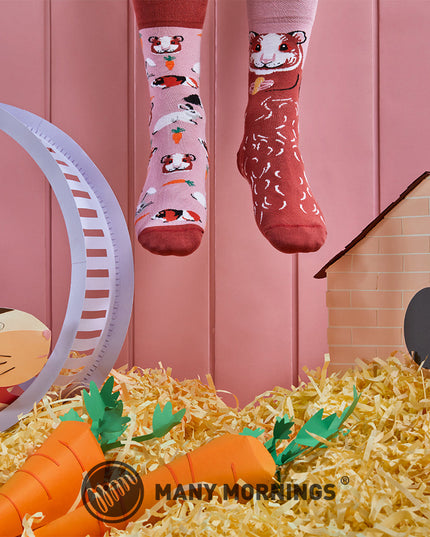 Miss Guinea Pig Fun Socks for Everyone