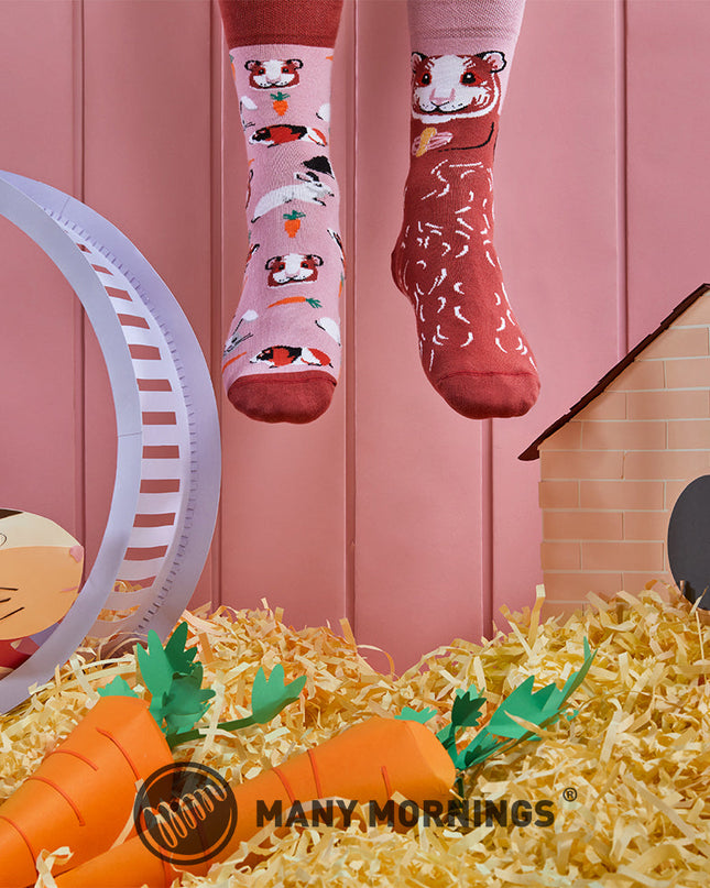 Miss Guinea Pig Fun Socks for Everyone