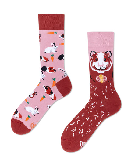 Miss Guinea Pig Fun Socks for Everyone