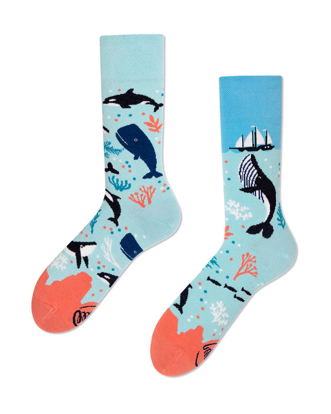 Limited Edition Ocean Life Fun Socks