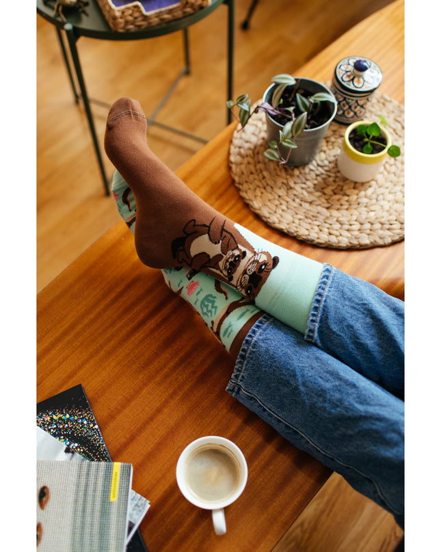Otter Stories Fun Socks for All Ages