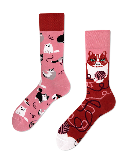 Playful Cat Fun Socks Collection by Many Mornings