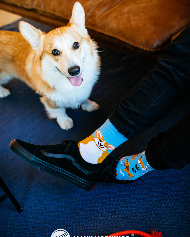 Playful Dog Fun Socks Collection by Many Mornings