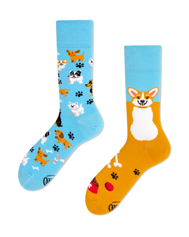 Playful Dog Fun Socks Collection by Many Mornings