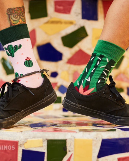 Summer Cactus Fun Socks for Everyone