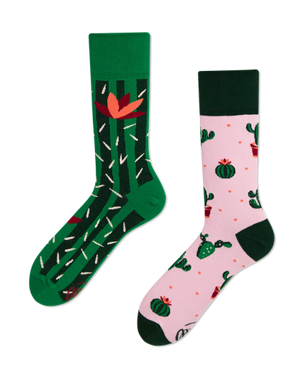Summer Cactus Fun Socks for Everyone