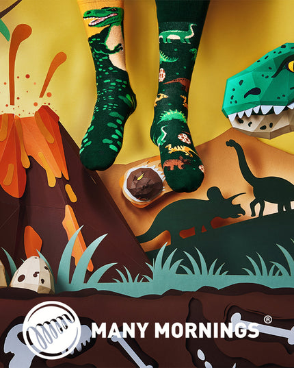 The Dinosaurs Fun Socks for Everyone