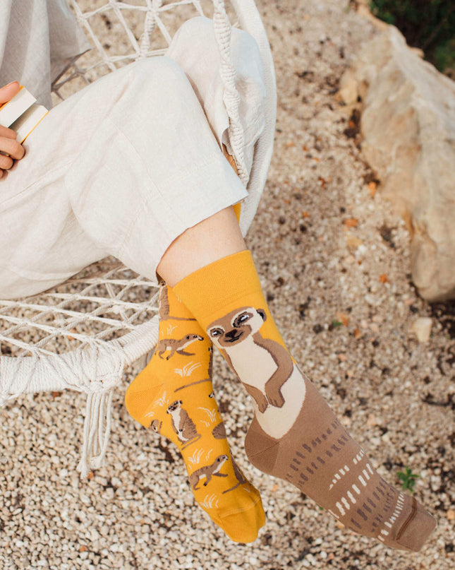 Meerkat Christmas Fun Socks Collection