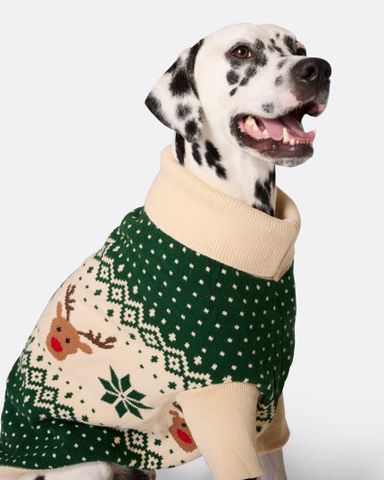 Matching Family Christmas Sweaters in Green Retro Reindeer