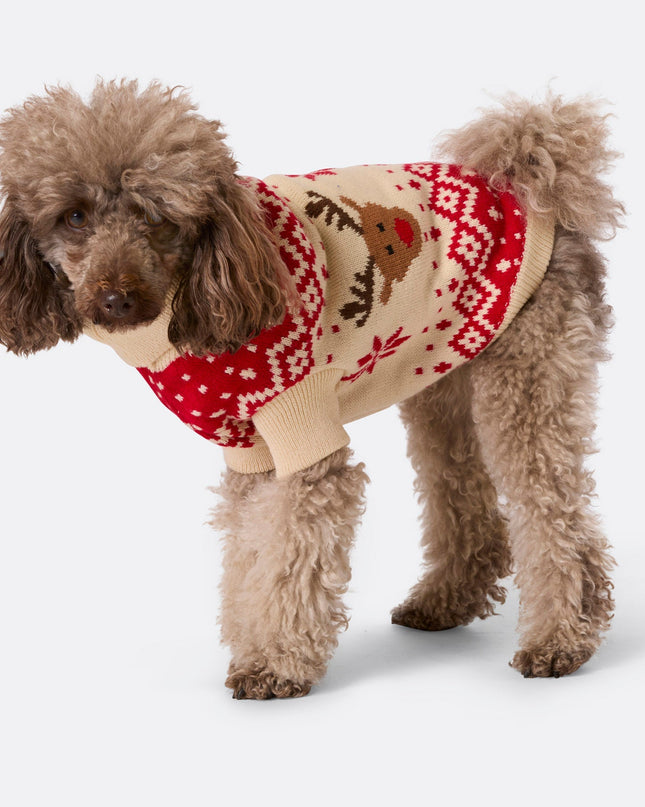 Red Retro Reindeer Sweater for Dogs