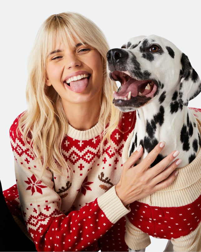 Women's Retro Reindeer Red Christmas Sweater