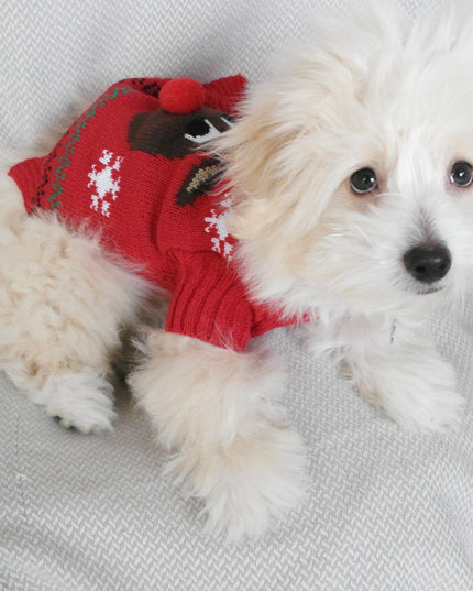 Red 3D Dog Christmas Sweater