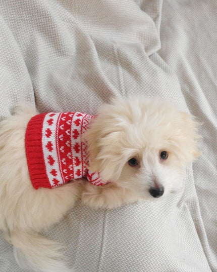 Nordic Red Dog Christmas Sweater