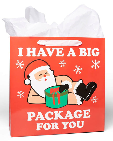 Naughty Santa Gift Bags - Set of 6
