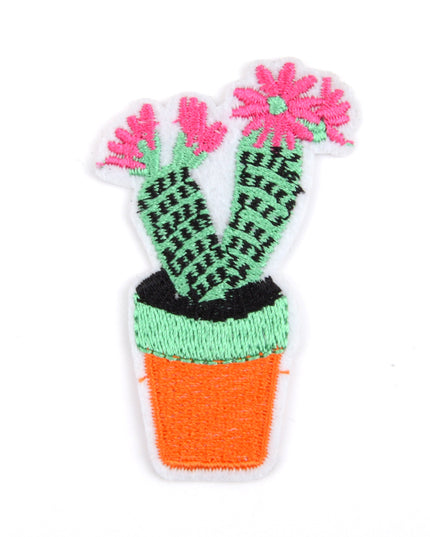 Cactus Patch
