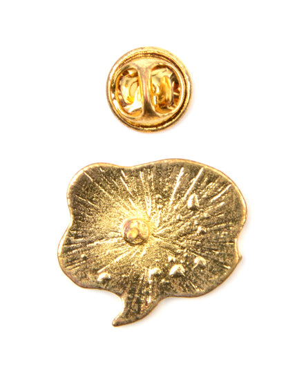 Pirate Pin
