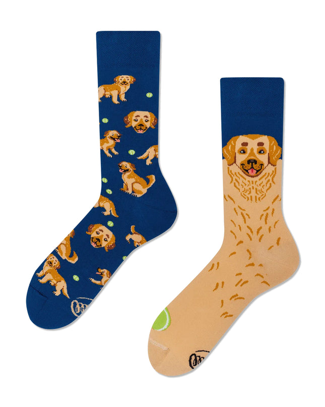 Golden Boy Socks