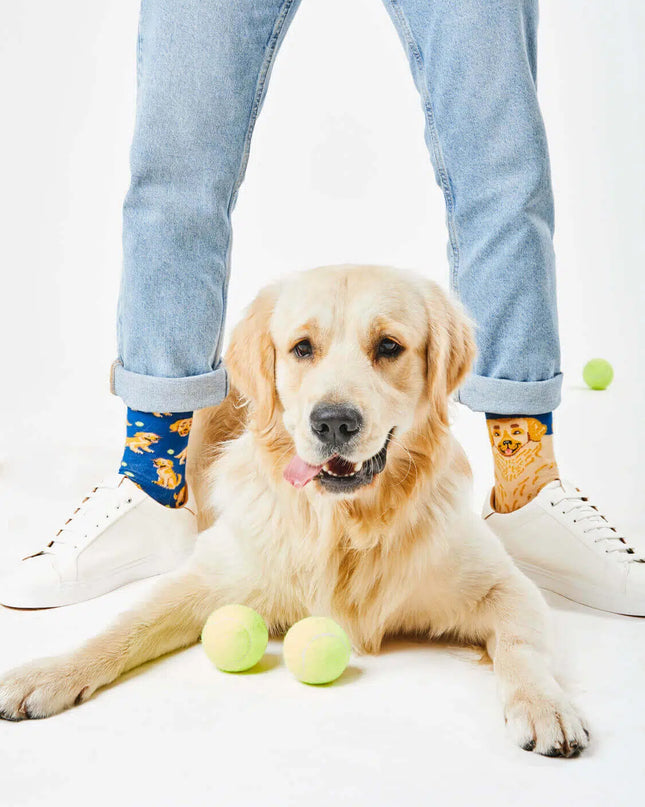 Golden Boy Socks