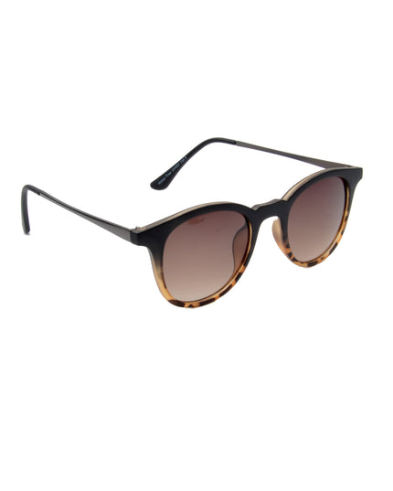 Tom Rounded Turtle