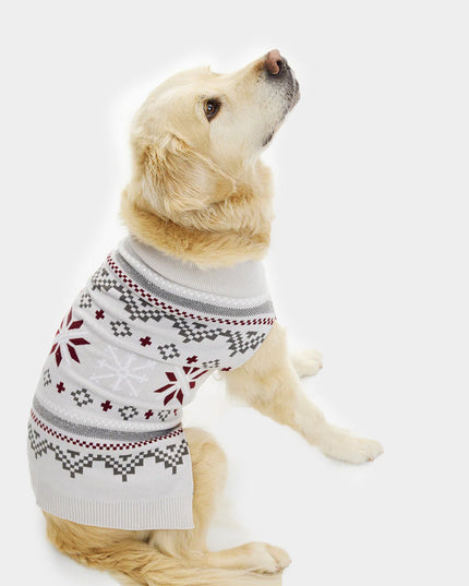 Gray Dog Christmas Sweater with Polar Star Design