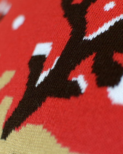 Family Christmas Sweater with Reindeer and Scarf in Organic Cotton