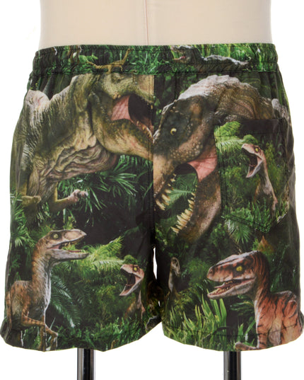 Fun Dinosaur Print Shorts
