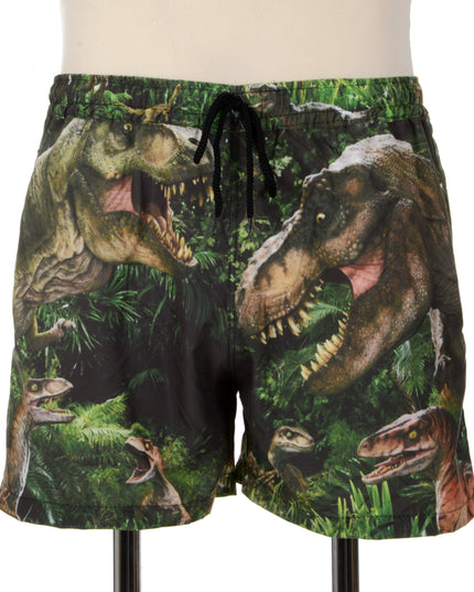 Fun Dinosaur Print Shorts