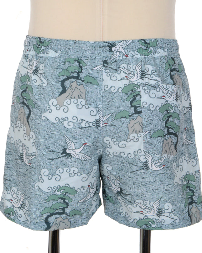 Stylish Darvas Shorts