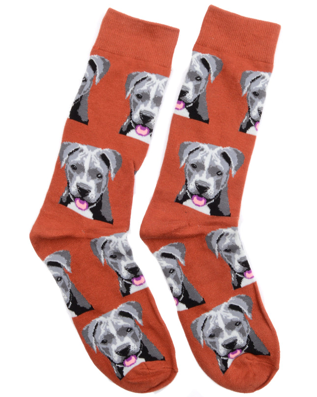 Puppy Fun Socks - Limited Edition